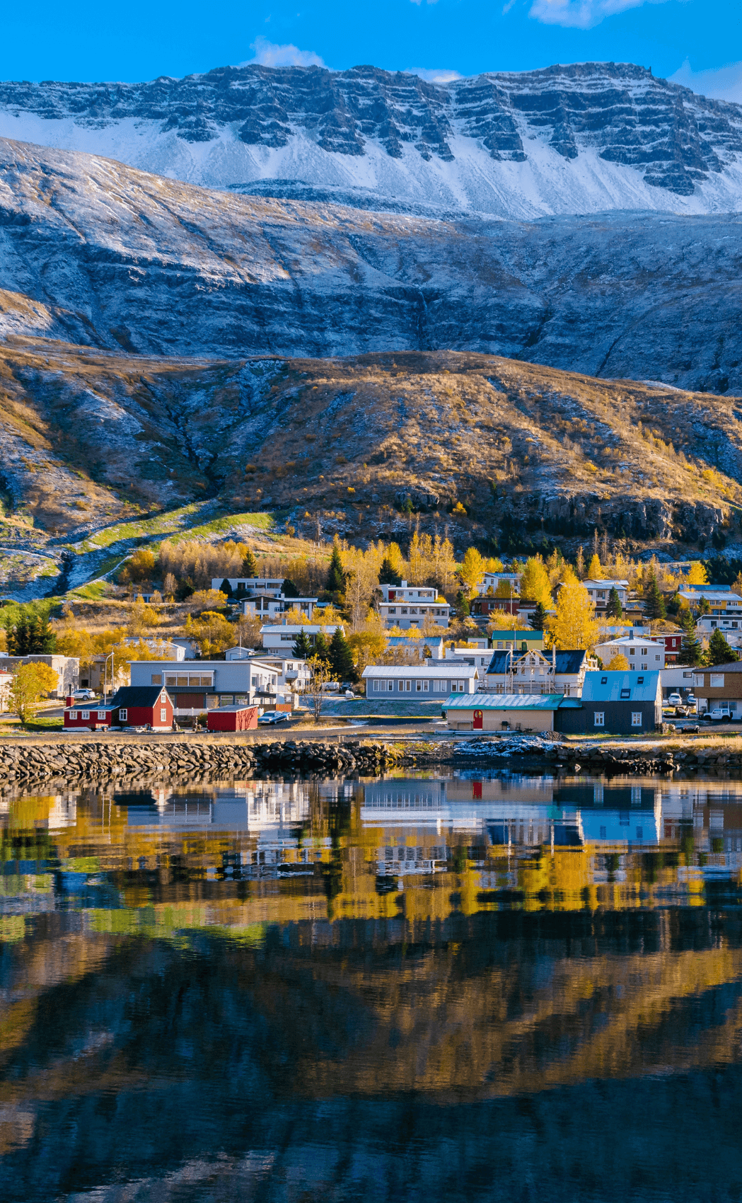 indigenous in Iceland