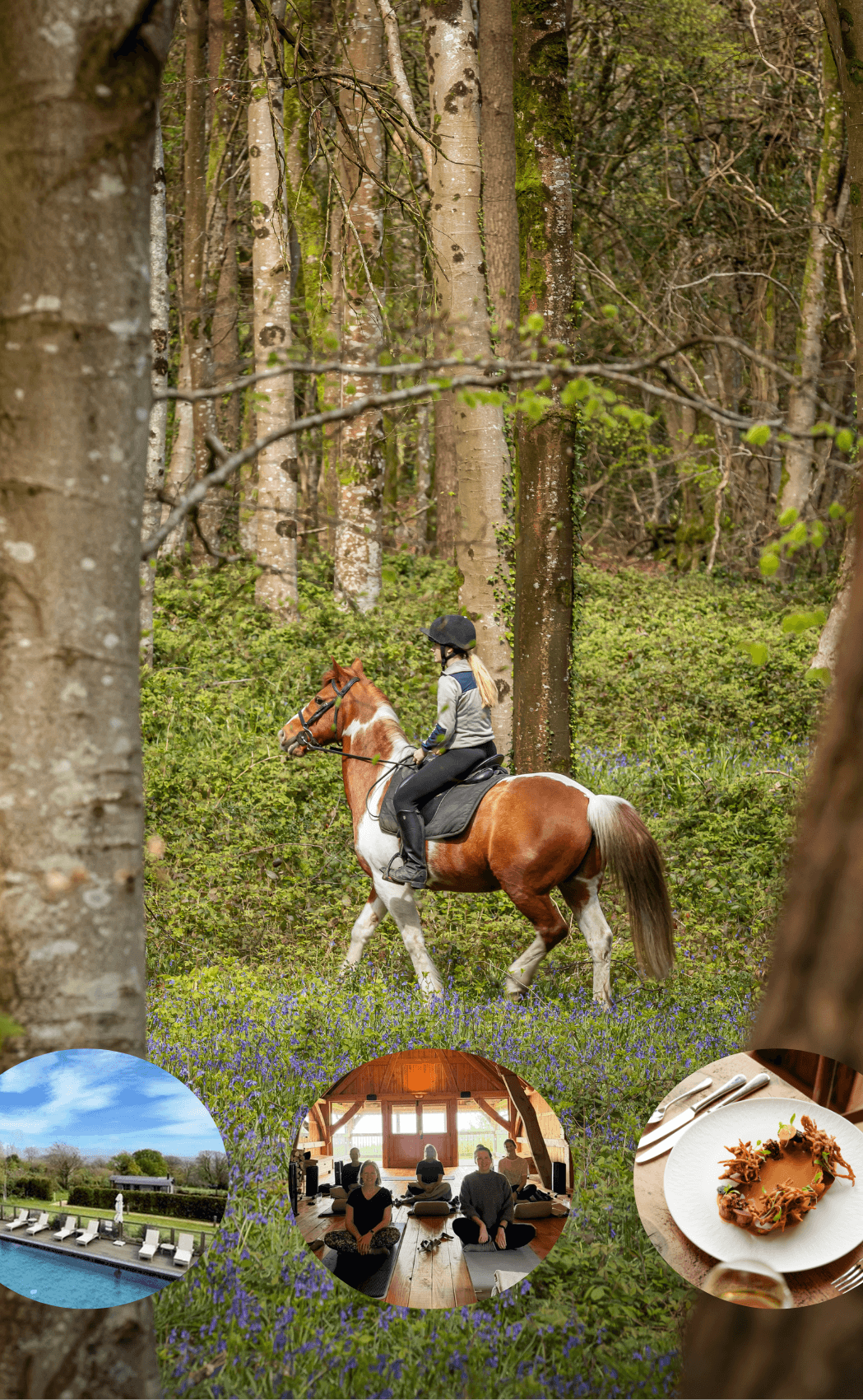 Activities at Louma Country Hotel, Dorset