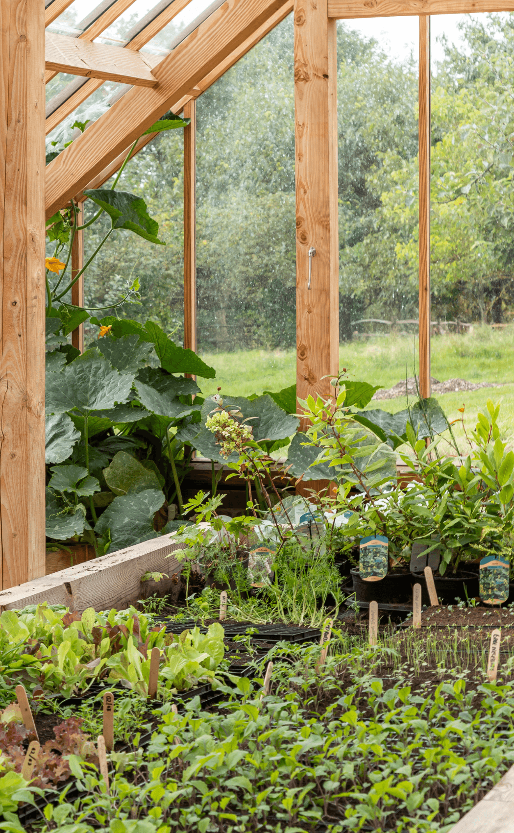 The greenhouse at Louma Country Hotel, Dorset